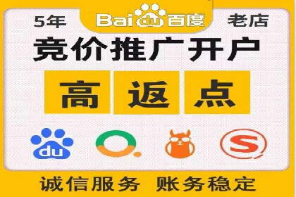 百度推广实战技巧：案例详解